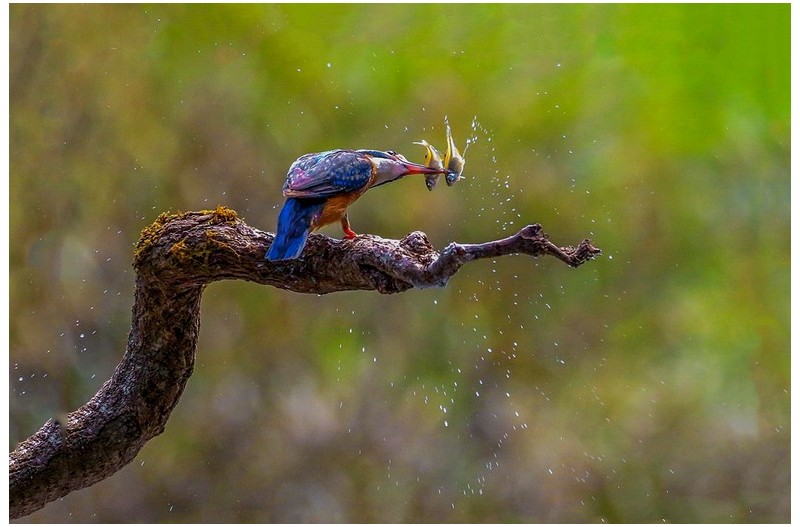 PHOTO BY  |           Canon Canon |  | ISO- |  |  |  | EV=0 | ● WIDTH:  HEIGHT: