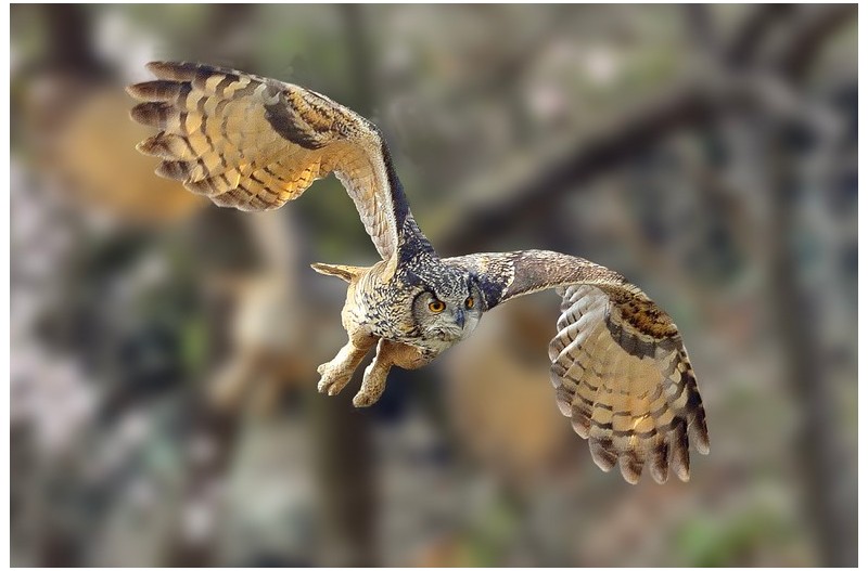 PHOTO BY HNalim  | Canon EOS 7D Mark II  | 2024:06:22 13:45:50  | ISO-160 | 1/500 sec | f 5.6 | 400 mm | EV=0 | ● WIDTH:1800 pixels  HEIGHT:1200 pixels
