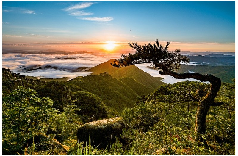 PHOTO BY  | NIKON Z 6_2  | 2024:07:25 05:46:54  | ISO-200 | 1/60 sec | f 16 | 15 mm | EV=-0.7 | ● WIDTH:1500 pixels  HEIGHT:998 pixels