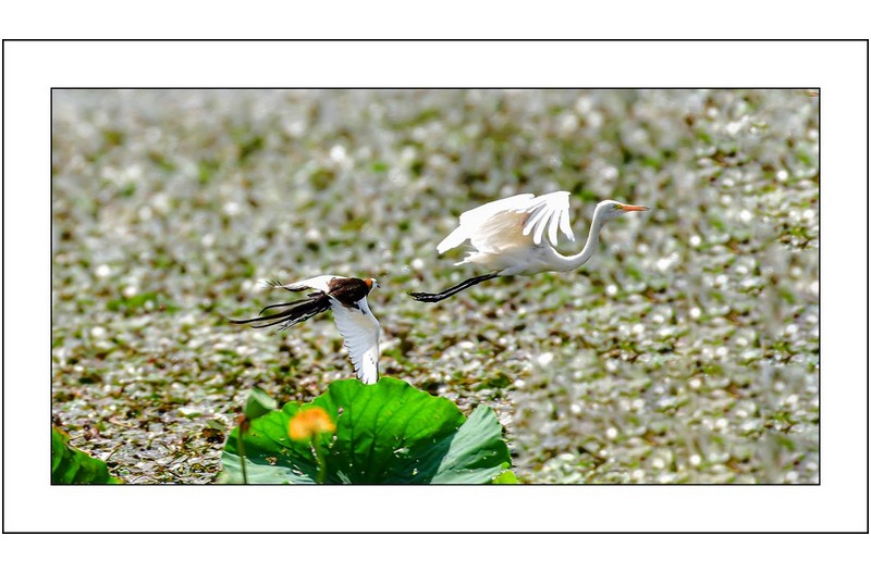   | PHOTO BY : Photo No Data |