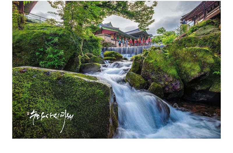   | PHOTO BY : 수당/박상돈  |