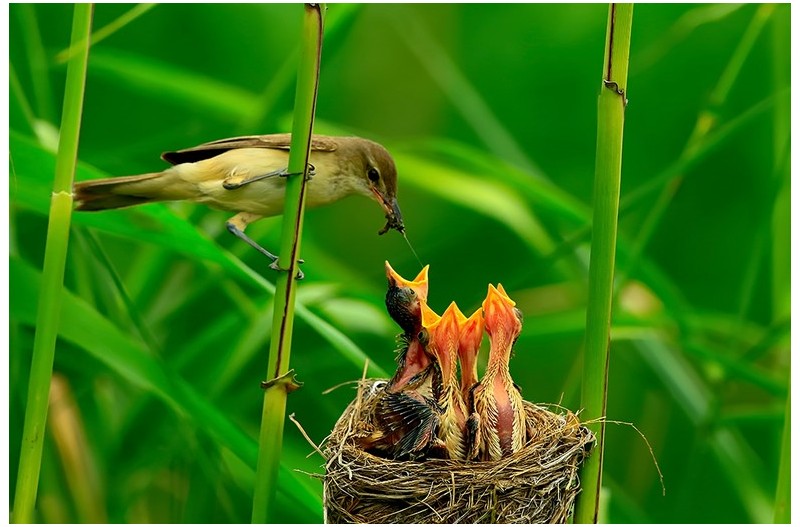 PHOTO BY ChoiJunqSeop  | Canon EOS-1D X Mark II  | 2024:07:28 18:19:48  | ISO-800 | 1/100 sec | f 6.3 | 300 mm | EV=0 | ● WIDTH:1800 pixels  HEIGHT:1200 pixels