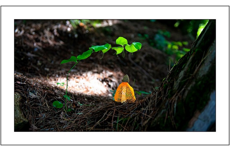   | PHOTO BY : Photo No Data |