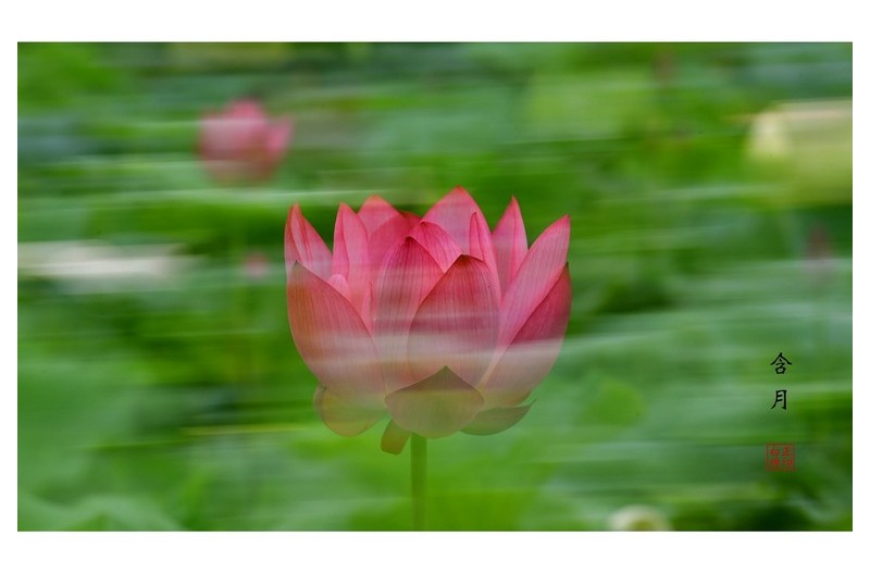 PHOTO BY Hamwuel Baek                          | NIKON D5  | 2024:07:17 11:22:47  | ISO-100 | 1/60 sec | f 11 | 200 mm | EV=0 | ● WIDTH:5565 pixels  HEIGHT:3710 pixels