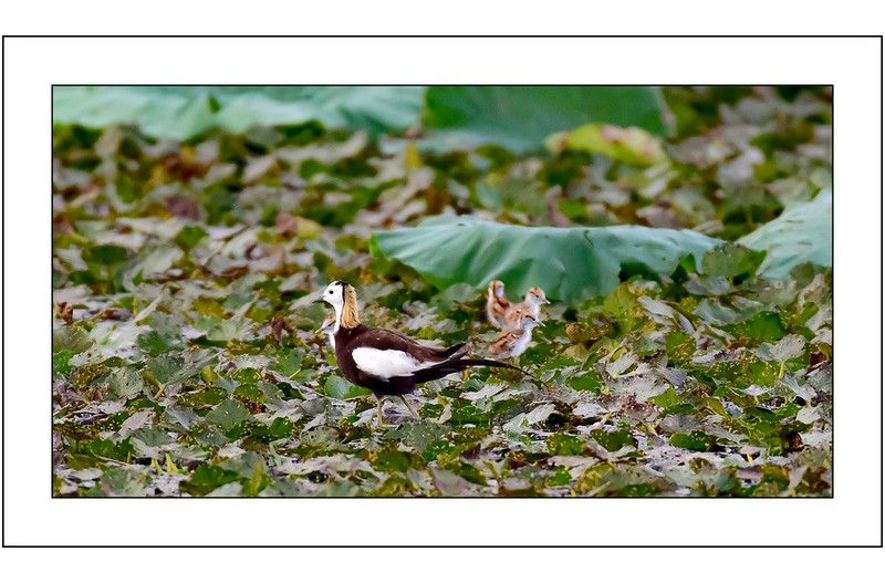   | PHOTO BY : Photo No Data |