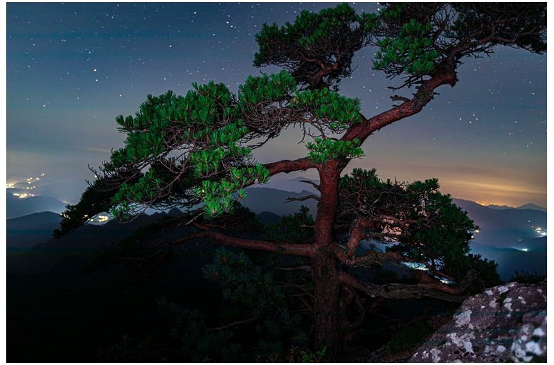 PHOTO BY  | Canon EOS 5D Mark IV  | 2024:08:04 03:15:16  | ISO-1000 | 30/1 sec | f 2.8 | 23 mm | EV=0 | ● WIDTH:1600 pixels  HEIGHT:1067 pixels