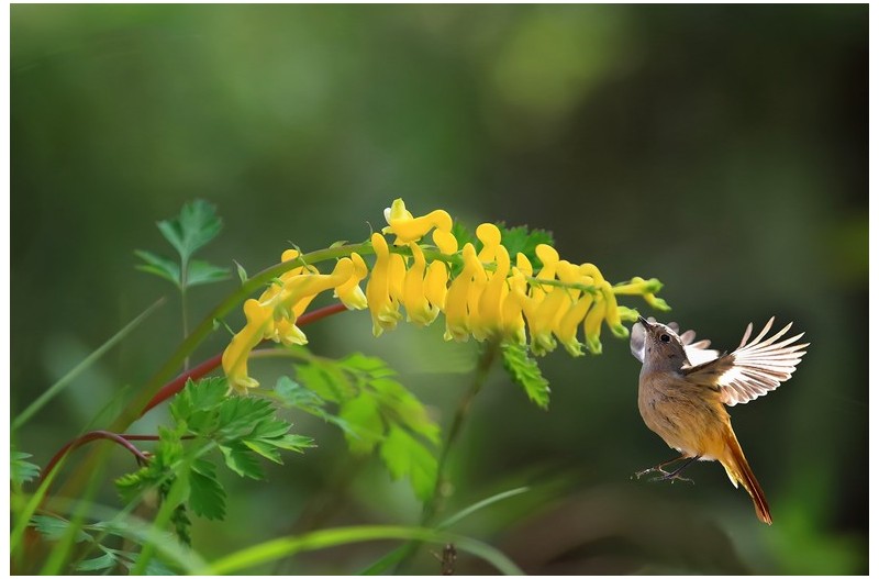 PHOTO BY ChoiJunqSeop  | Canon EOS-1D X Mark II  | 2024:07:28 18:20:41  | ISO-800 | 1/60 sec | f 6.3 | 275 mm | EV=0.3 | ● WIDTH:1800 pixels  HEIGHT:1200 pixels