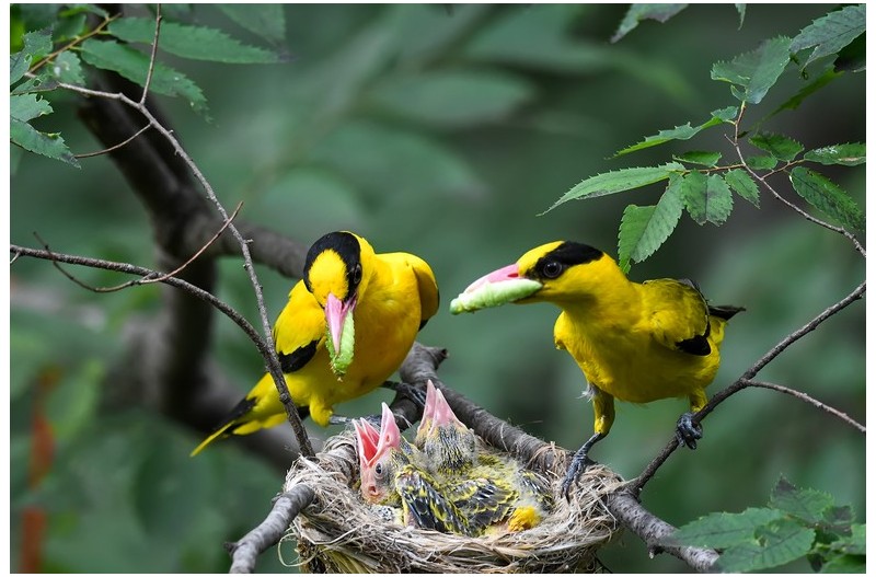 PHOTO BY ChoiJunqSeop  | Canon EOS-1D X Mark II  | 2024:07:01 16:13:53  | ISO-800 | 1/800 sec | f 6.3 | 490 mm | EV=0 | ● WIDTH:1800 pixels  HEIGHT:1200 pixels
