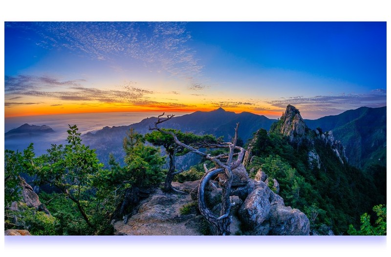 PHOTO BY :07:02 22:00:52 photographer
PARK S |           Canon Canon |  | ISO- |  |  |  | EV=0 | ● WIDTH:  HEIGHT:
