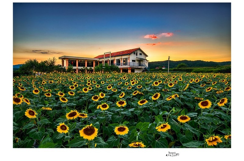 PHOTO BY Kwon Young Woo  | NIKON D850  | 2024:07:29 19:23:15  | ISO-100 | 1/25 sec | f 13 | 20 mm | EV=-1.7 | ● WIDTH:1326 pixels  HEIGHT:947 pixels