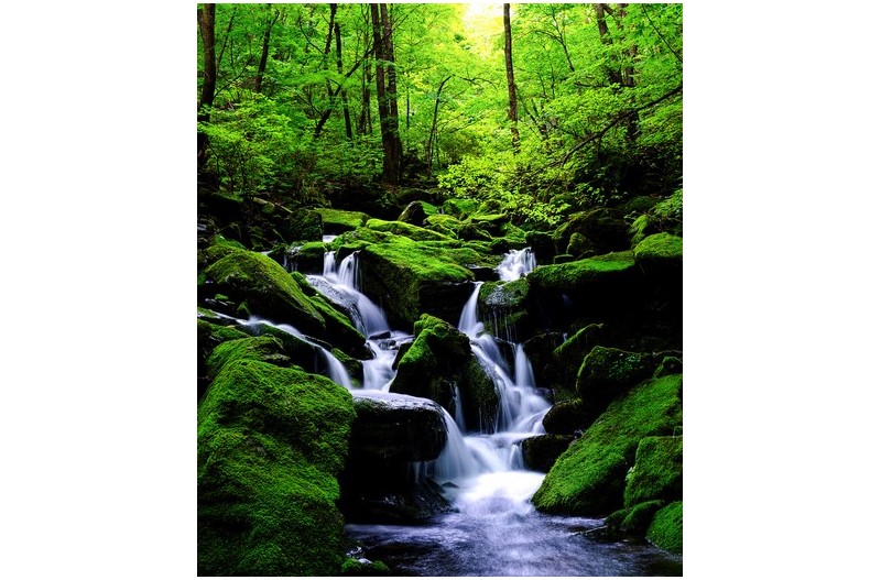 PHOTO BY  | GFX100S  | 2024:07:29 09:55:45  | ISO-100 | 2/1 sec | f 13 | 35 mm | EV=0 | ● WIDTH:1015 pixels  HEIGHT:1200 pixels