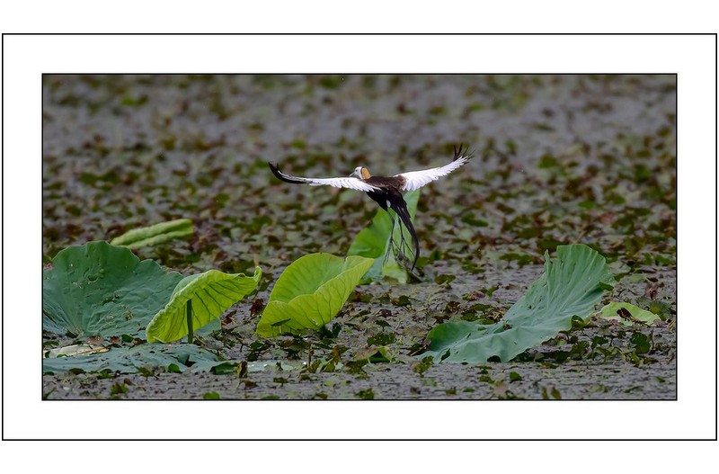   | PHOTO BY : Photo No Data |