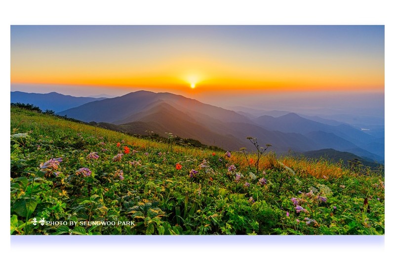 PHOTO BY PARK SEUNGWOO  | Canon EOS 5D Mark IV  | 2024:08:04 06:04:47  | ISO-200 | 1/8 sec | f 9 | 16 mm | EV=0 | ● WIDTH:2400 pixels  HEIGHT:1650 pixels