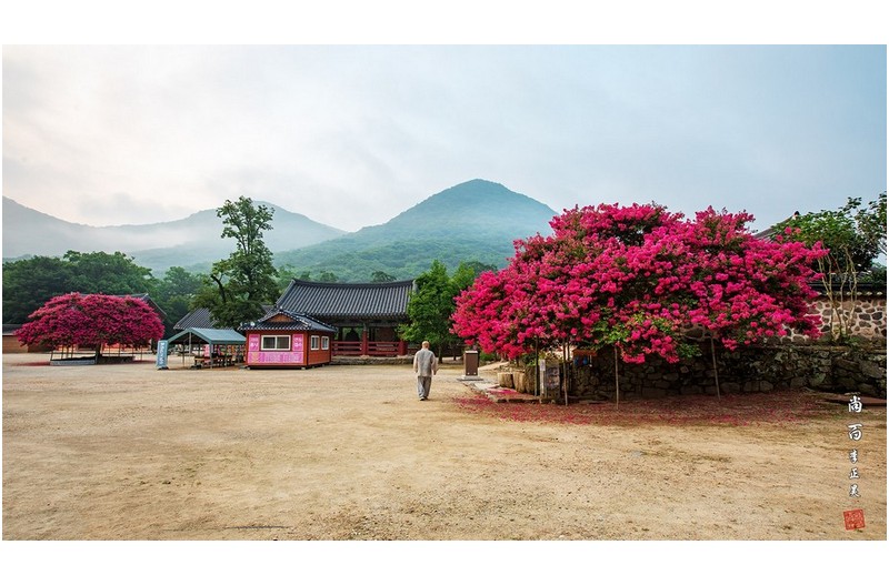 PHOTO BY  | Canon EOS 5D Mark IV  | 2024:08:03 06:12:37  | ISO-200 | 1/25 sec | f 9 | 18 mm | EV=0 | ● WIDTH:1800 pixels  HEIGHT:1011 pixels