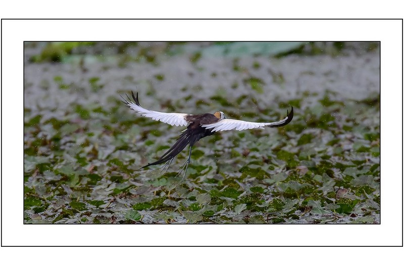   | PHOTO BY : Photo No Data |