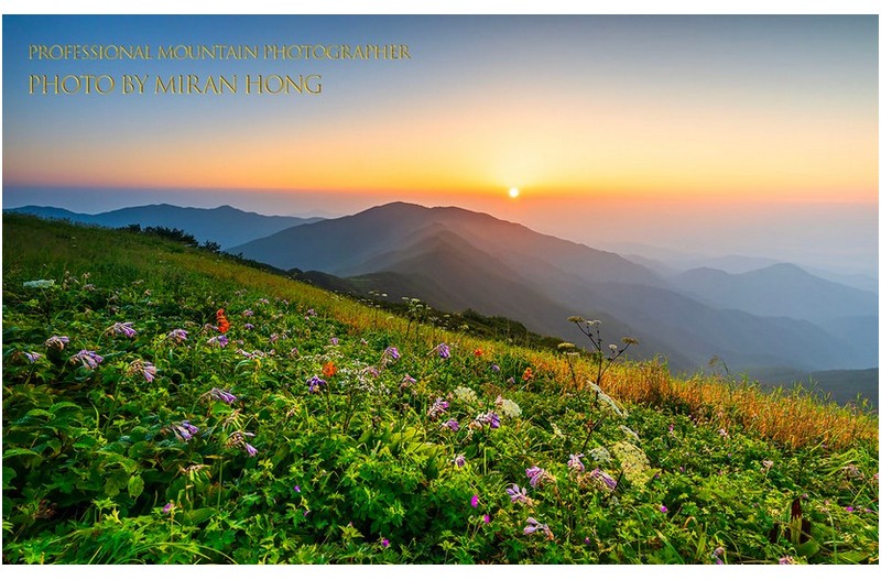 PHOTO BY HONG_MI_RAN  | NIKON Z 8  | 2024:08:04 05:43:12  | ISO-160 | 1/15 sec | f 13 | 16 mm | EV=0 | ● WIDTH:1366 pixels  HEIGHT:857 pixels