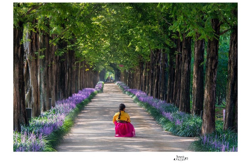 PHOTO BY  | NIKON D500  | 2024:08:07 09:59:36  | ISO-100 | 1/40 sec | f 8 | 122 mm | EV=0.3 | ● WIDTH:1326 pixels  HEIGHT:947 pixels