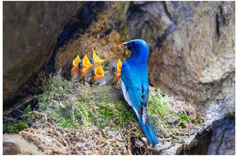 PHOTO BY ChoiJunqSeop  | Canon EOS-1D X Mark II  | 2024:08:05 09:42:37  | ISO-800 | 1/1600 sec | f 6.3 | 220 mm | EV=0 | ● WIDTH:1800 pixels  HEIGHT:1200 pixels