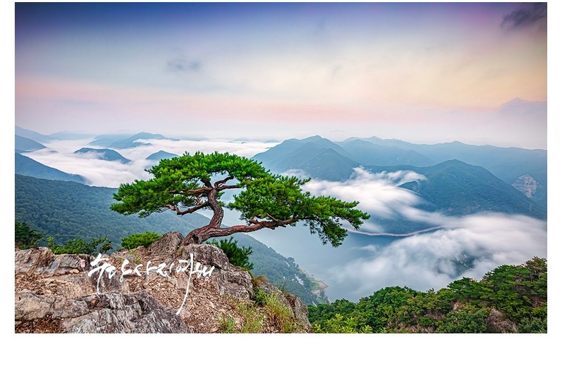   | PHOTO BY : 수당/박상돈  |