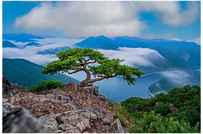 PHOTO BY  | NIKON Z 6_2  | 2024:08:09 05:43:12  | ISO-500 | 1/15 sec | f 8 | 24 mm | EV=0 | ● WIDTH:1500 pixels  HEIGHT:1000 pixels