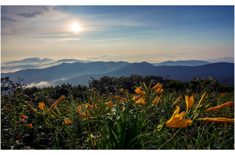 PHOTO BY  | NIKON D850  | 2024:08:08 06:31:06  | ISO-100 | 1/1000 sec | f 8 | 17 mm | EV=-1.7 | ● WIDTH:1400 pixels  HEIGHT:864 pixels