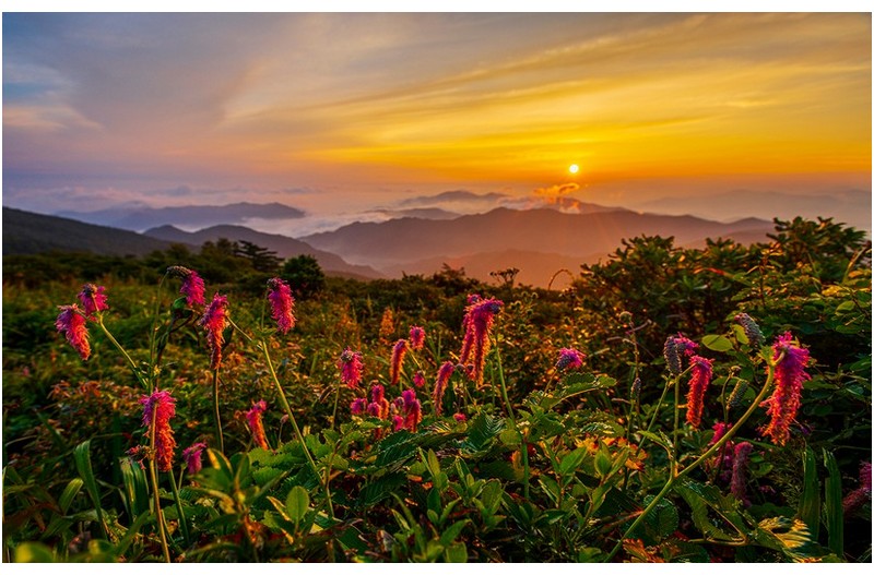 PHOTO BY  | NIKON D850  | 2024:08:08 05:40:44  | ISO-100 | 1/100 sec | f 8 | 17 mm | EV=-2.7 | ● WIDTH:1400 pixels  HEIGHT:888 pixels