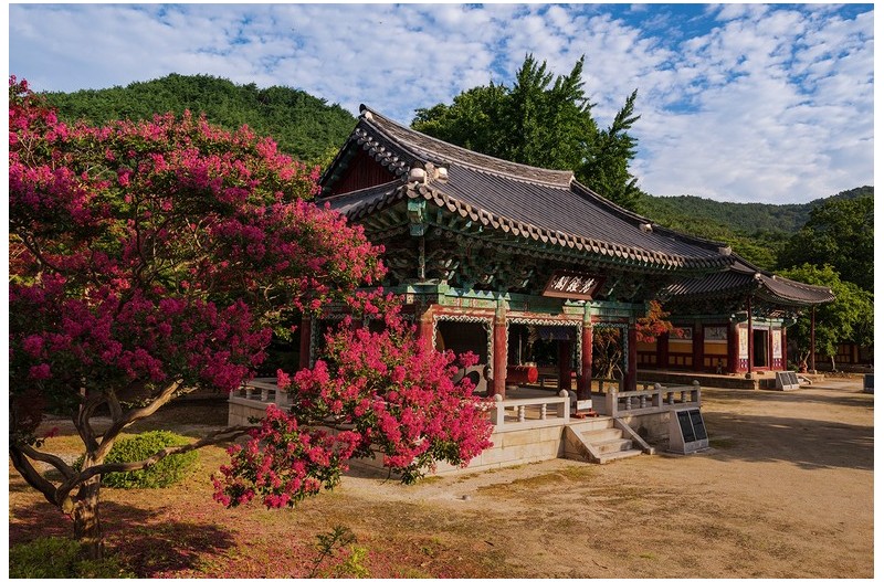 PHOTO BY  | NIKON Z 6_2  | 2024:08:06 07:53:43  | ISO-200 | 1/250 sec | f 10 | 25.5 mm | EV=-0.3 | ● WIDTH:1500 pixels  HEIGHT:998 pixels