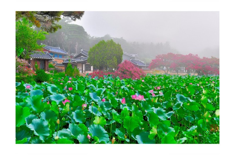   | PHOTO BY : 함월  |