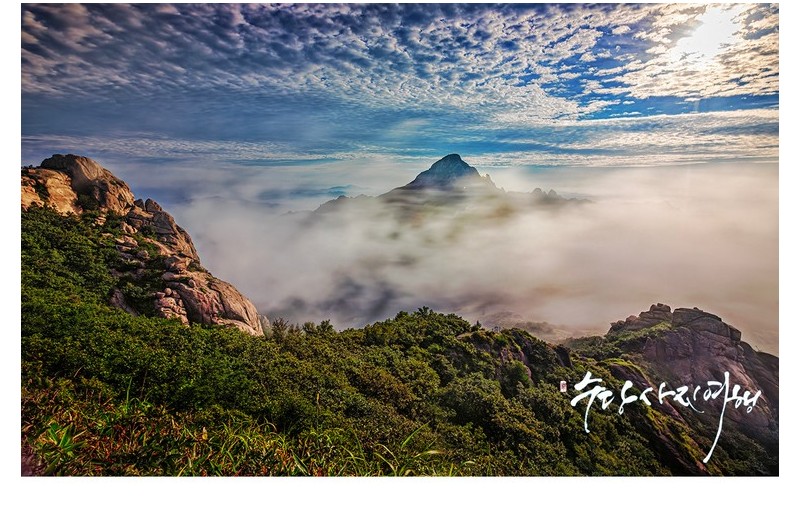   | PHOTO BY : 수당/박상돈  |