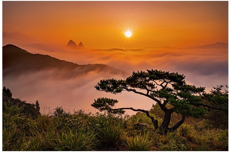 PHOTO BY  | NIKON Z 6_2  | 2024:08:11 06:22:11  | ISO-200 | 1/80 sec | f 16 | 23.5 mm | EV=0 | ● WIDTH:1500 pixels  HEIGHT:998 pixels