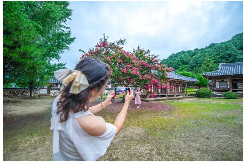 PHOTO BY  | NIKON D850  | 2024:08:04 16:08:25  | ISO-500 | 1/800 sec | f 3.5 | 15 mm | EV=0 | ● WIDTH:1700 pixels  HEIGHT:1133 pixels