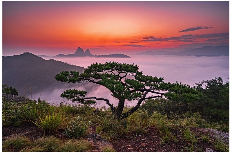 PHOTO BY  | NIKON Z 6_2  | 2024:08:11 05:31:04  | ISO-200 | 1/1 sec | f 16 | 20.5 mm | EV=-0.7 | ● WIDTH:1500 pixels  HEIGHT:998 pixels