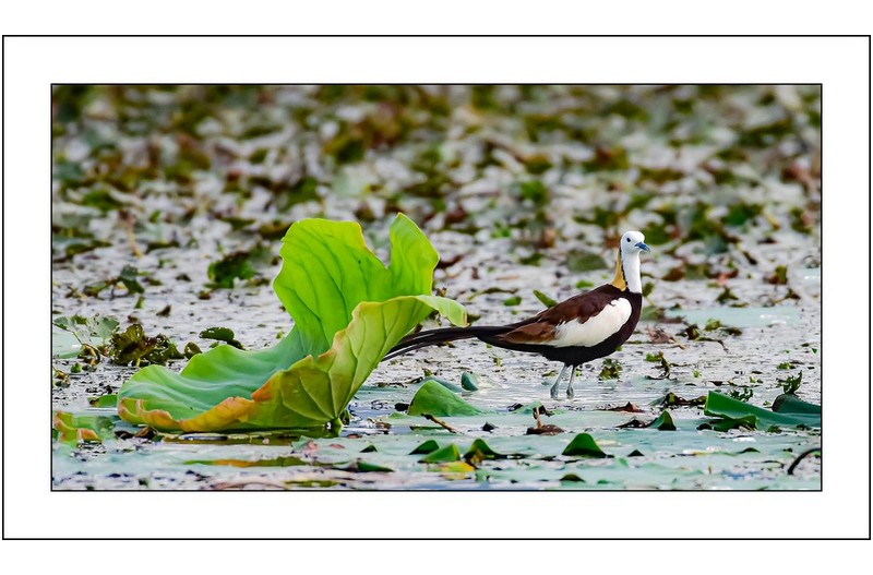   | PHOTO BY : 삿갓/정봉식  |