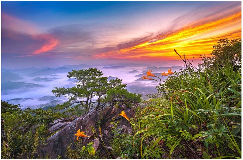 PHOTO BY  | NIKON Z 7_2  | 2024:08:08 05:40:17  | ISO-50 | 4/10 sec | f 11 | 16.5 mm | EV=0 | ● WIDTH:1700 pixels  HEIGHT:1120 pixels