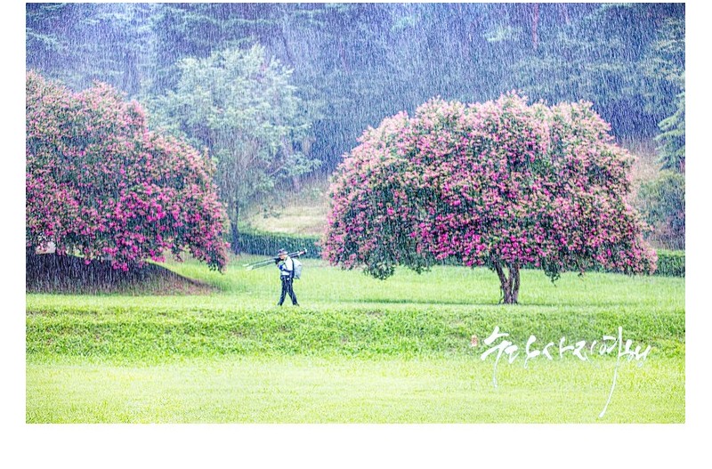   | PHOTO BY : 수당/박상돈  |