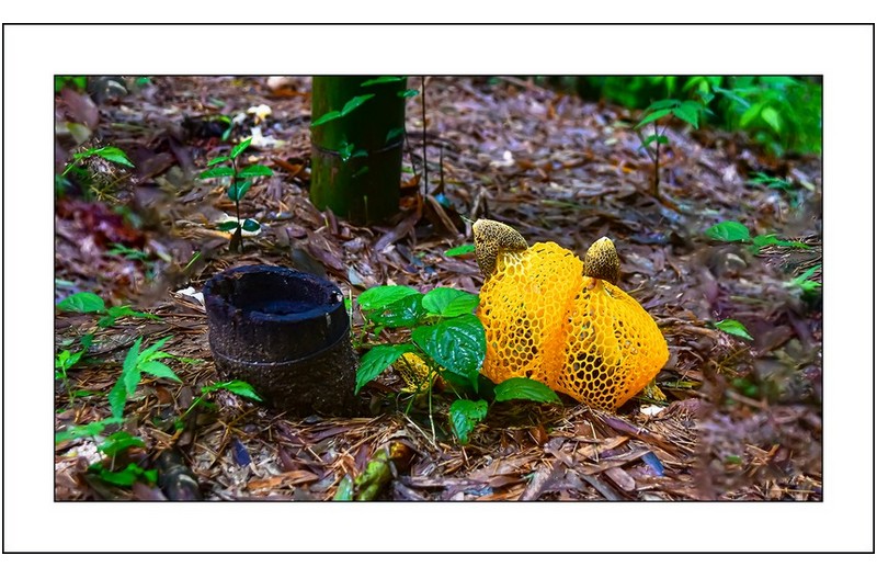   | PHOTO BY : 삿갓/정봉식  |