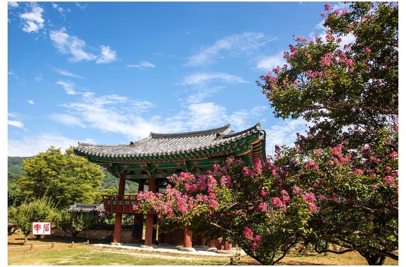 PHOTO BY changickheun  | Canon EOS-1D X Mark III  | 2024:08:14 15:56:50  | ISO-200 | 1/160 sec | f 11 | 28 mm | EV=0 | ● WIDTH:1800 pixels  HEIGHT:1218 pixels