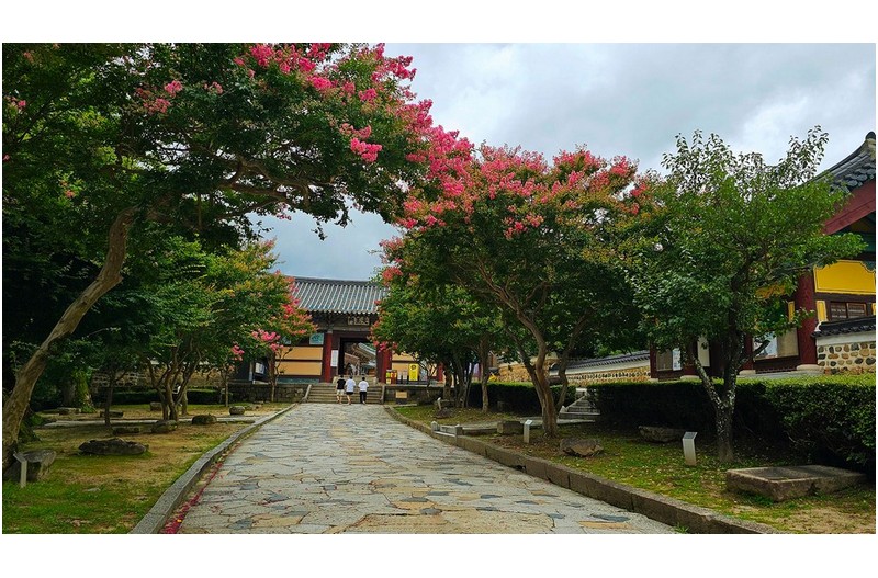   | PHOTO BY : 몰운대/조태열  |