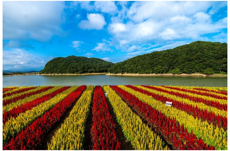 PHOTO BY  | GFX100S  | 2024:08:15 08:01:32  | ISO-100 | 1/200 sec | f 8 | 20 mm | EV=0 | ● WIDTH:2000 pixels  HEIGHT:1333 pixels