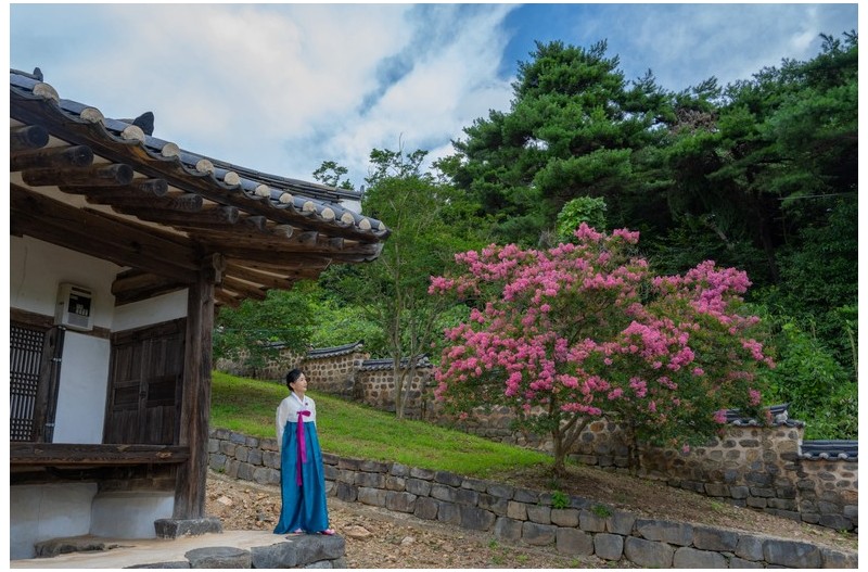 PHOTO BY CHUNG HYUN SUK  | NIKON Z 7_2  | 2024:07:25 11:07:40  | ISO-200 | 1/320 sec | f 7.1 | 24 mm | EV=0.3 | ● WIDTH:1500 pixels  HEIGHT:1000 pixels