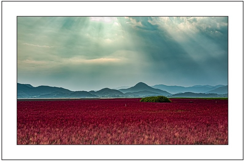   | PHOTO BY : 삿갓/정봉식  |