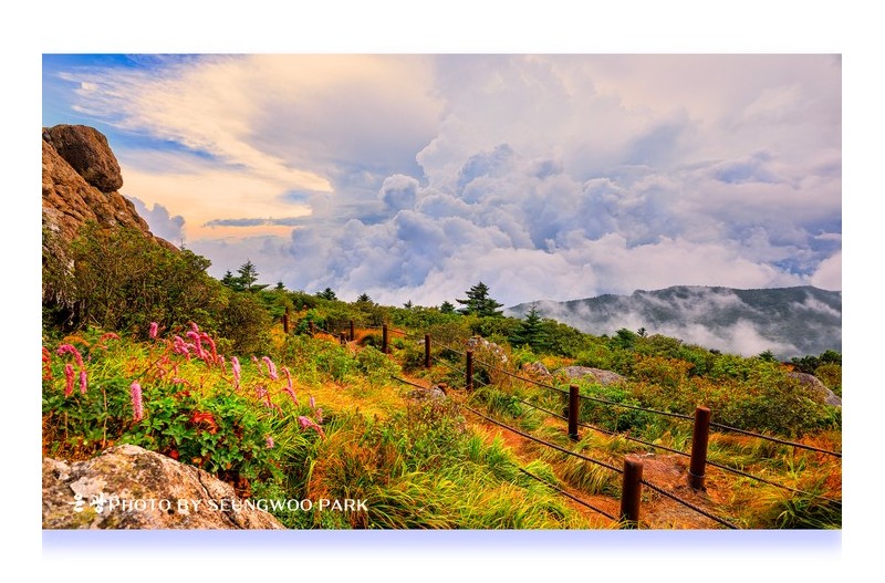 PHOTO BY PARK SEUNGWOO  | Canon EOS 5D Mark IV  | 2024:08:17 17:33:29  | ISO-100 | 1/30 sec | f 9 | 19 mm | EV=0 | ● WIDTH:2400 pixels  HEIGHT:1729 pixels