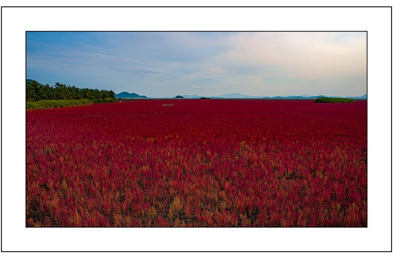   | PHOTO BY : 삿갓/정봉식  |