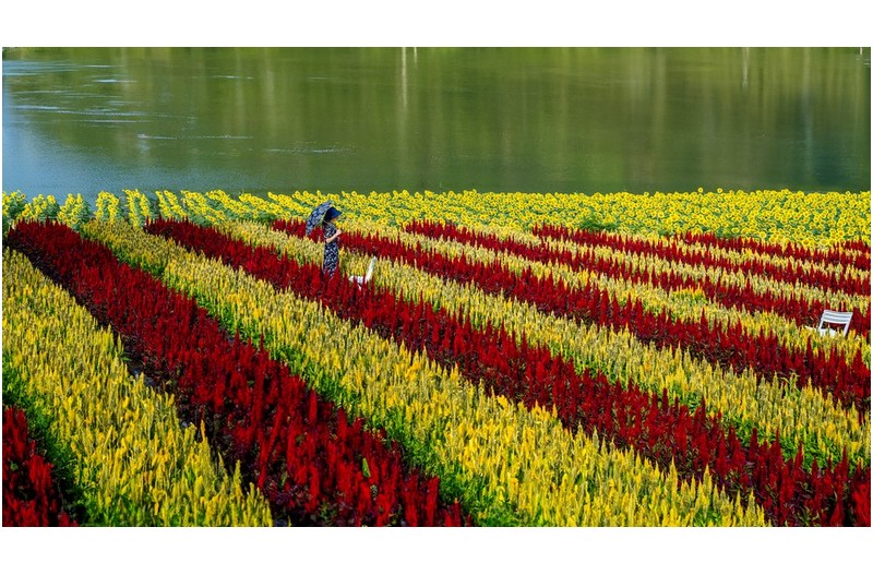 PHOTO BY  | GFX100S  | 2024:08:15 07:59:06  | ISO-100 | 1/160 sec | f 8 | 35 mm | EV=0 | ● WIDTH:2000 pixels  HEIGHT:1106 pixels