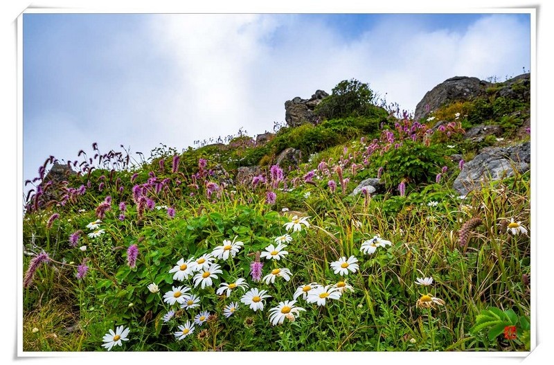 PHOTO BY LEE_T.I.  | NIKON Z 7_2  | 2024:08:15 13:16:26  | ISO-100 | 1/160 sec | f 11 | 23.5 mm | EV=0 | ● WIDTH:  HEIGHT: