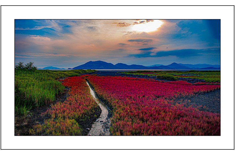   | PHOTO BY : 삿갓/정봉식  |