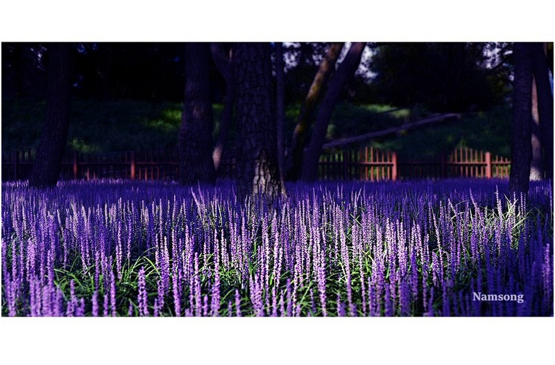 PHOTO BY  | NIKON Z 6_2  | 2024:08:18 20:16:08  | ISO-100 | 1/250 sec | f 6.3 | 48 mm | EV=0 | ● WIDTH:1800 pixels  HEIGHT:900 pixels