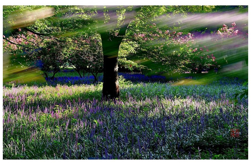 PHOTO BY Hamwuel Baek                          | NIKON D5  | 2024:08:13 07:35:35  | ISO-100 | 7692307/100000000 sec | f 11 | 66 mm | EV=0 | ● WIDTH:1600 pixels  HEIGHT:1155 pixels