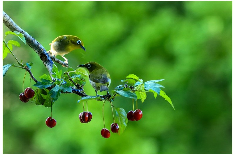 PHOTO BY ChoiJunqSeop  | Canon EOS-1D X Mark II  | 2024:08:14 07:24:29  | ISO-800 | 1/6400 sec | f 6.3 | 300 mm | EV=0 | ● WIDTH:1800 pixels  HEIGHT:1200 pixels