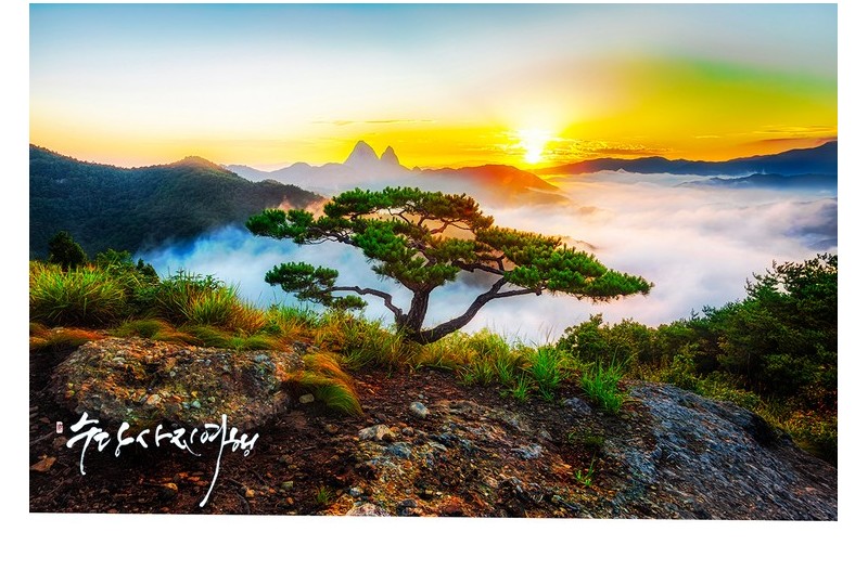   | PHOTO BY : 수당/박상돈  |